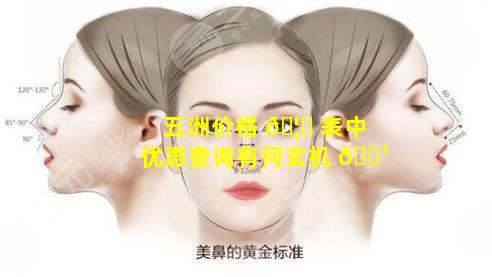五洲价格 🦟 表中优惠查询有何玄机 🌹